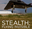 Stealth: Voo Invisível