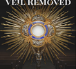 The Veil Removed