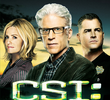 CSI: Investigação Criminal (13ª Temporada)