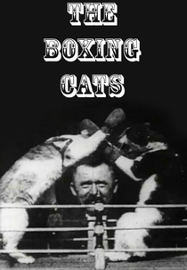 The Boxing Cats (Prof. Welton's) (The Boxing Cats (Prof. Welton's))