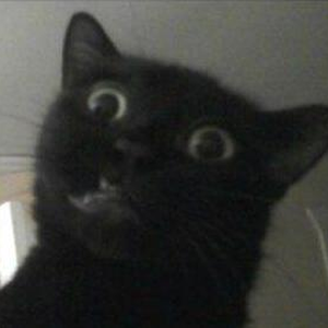 Foto de perfil de Bárbara Marques