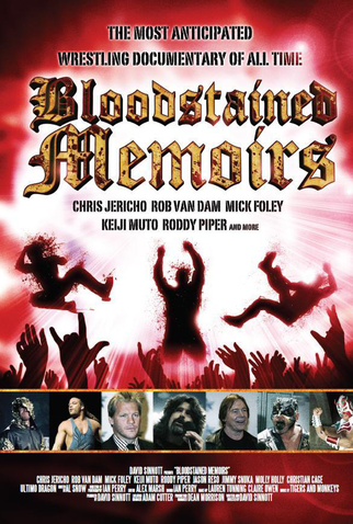 Poster 1 de Filme Bloodstained Memoirs (2009)