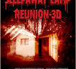 Sleepaway Camp: Reunion