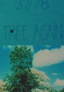 37/78: Tree Again (37/78: Tree Again)