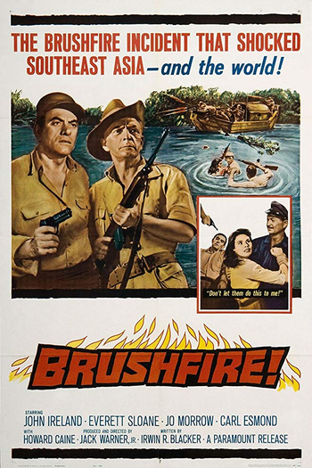 Poster de Filme Os Guerrilheiros (1962)