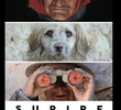 SURIRE