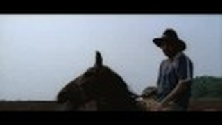 Trailer: La terra degli uomini rossi - Birdwatchers  - TRAILER