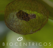 BIOCÊNTRICOS, o filme