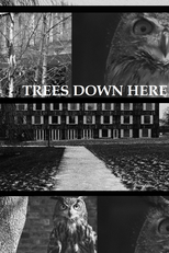 Trees Down Here (Trees Down Here)