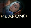 Faux Plafond