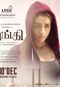 Investigação Arriscada (Raangi)