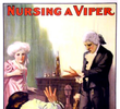 Nursing a Viper