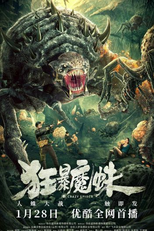Crazy Spider (Crazy Spider)