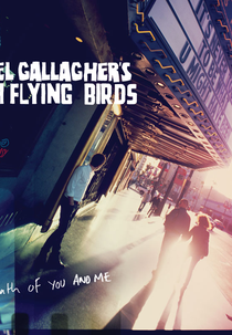 High Flying Birds: Somewhere in Between (High Flying Birds: Somewhere in Between)