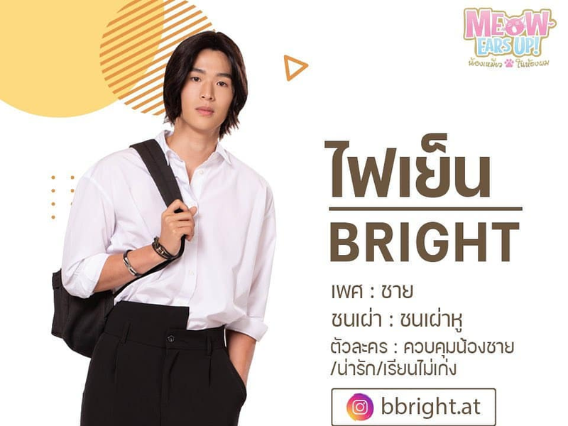 Foto 6 de Meow Ears Up