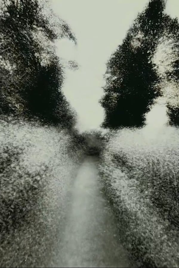 Poster de Curta Brouillard #19 (2015)