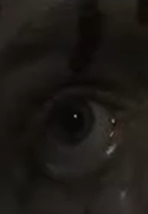 28 Weeks Later: Welcome to London (28 Weeks Later: Welcome to London)