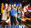 CSI: Nova Iorque (9ª temporada)