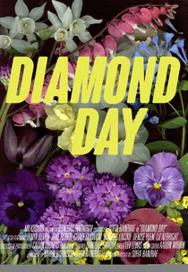 Diamond Day (Diamond Day)
