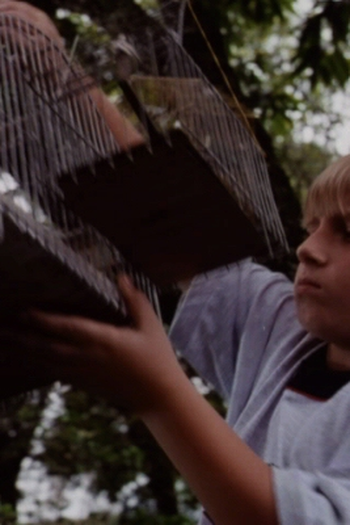 Poster de Curta O Velho do Saco (1999)