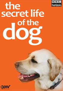 A Vida Secreta dos Cachorros (The Secret Life of The Dog)