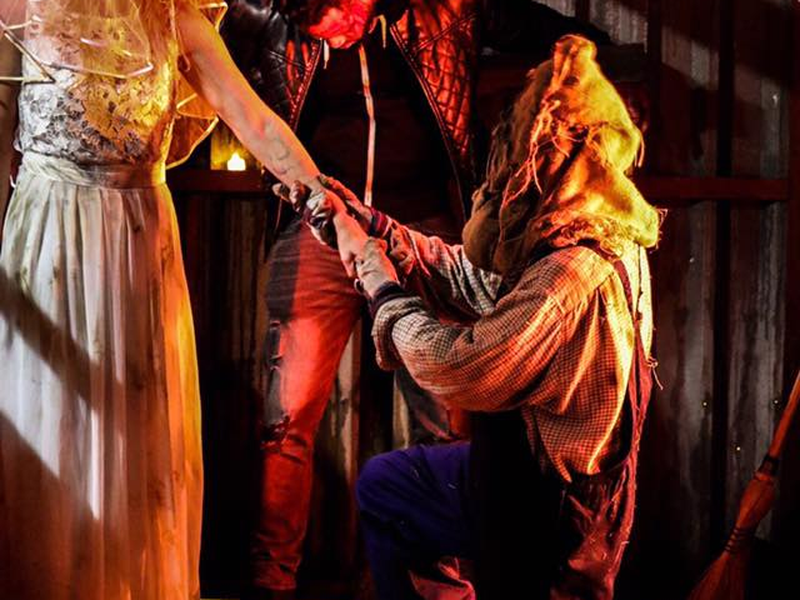 Foto 1 de A Noiva do Espantalho