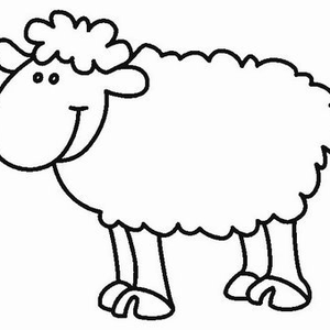 Foto de perfil de Alessandra Fragoso