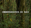 Observadores de Saci