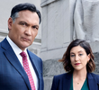 Bluff City Law