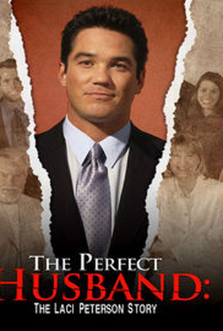 Poster 3 de Filme Marido Perfeito (2004)
