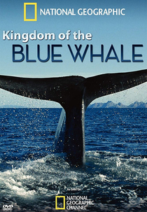 O Reino da Baleia Azul (Kingdom of the Blue Whale)
