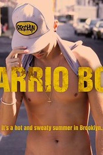 Poster de Curta Barrio Boy (2014)