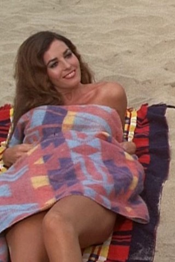 Poster de Episódio Venice Division (1973)