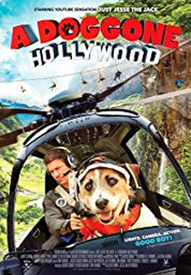 A Doggone Hollywood (A Doggone Hollywood)