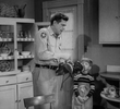 Andy and Opie, Housekeepers