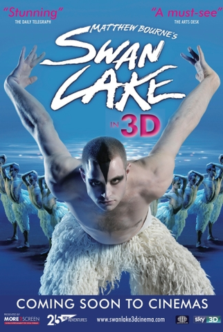 Poster 1 de Filme Swan Lake (2012)