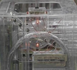 Orac