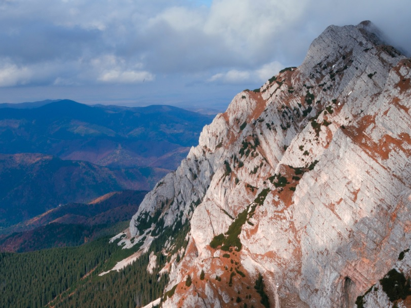 Foto 3 de Untamed Romania