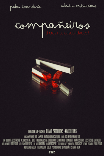 Poster de Curta Compañeiros (2022)