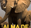 Alma de Gigante