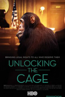 Unlocking the Cage - Poster / Capa / Cartaz - Oficial 1