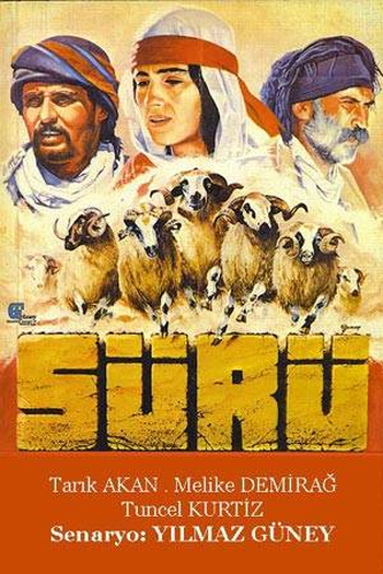 Poster de Filme Sürü (1979)