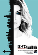 A Anatomia de Grey (13ª Temporada) (Grey's Anatomy (Season 13))