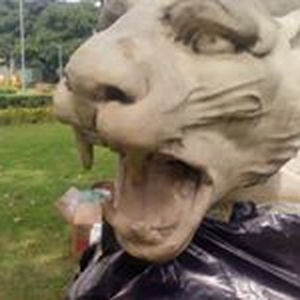 Foto de perfil de George Marques