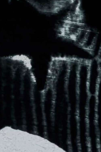 Poster de Curta Star Film (1969)