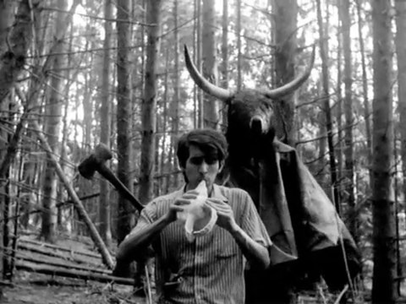 Foto 13 de The Beast Pageant 