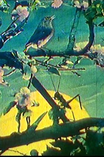  de Curta A Voz do Rouxinol (1925)