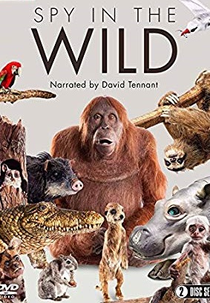 Espiões da Natureza (Spy in the Wild)