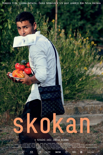 Poster de Filme Skokan (2017)