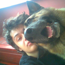 Foto de perfil de Sidnei Biazotto